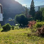 Viva La Wildbad * 바드윌드바드
