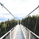 Viva La Wildbad *
