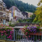 Viva La Wildbad * 바드윌드바드