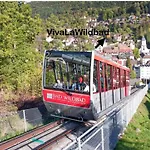 Viva La Wildbad 바드윌드바드