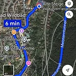 Viva La Wildbad *