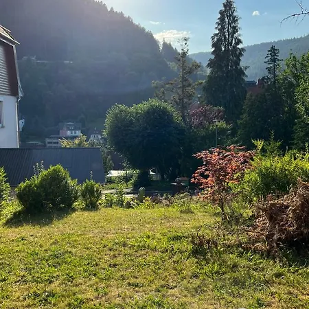 Viva La Wildbad * Bad Wildbad