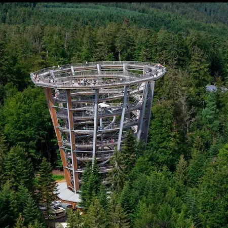 Apartment Viva La Wildbad *