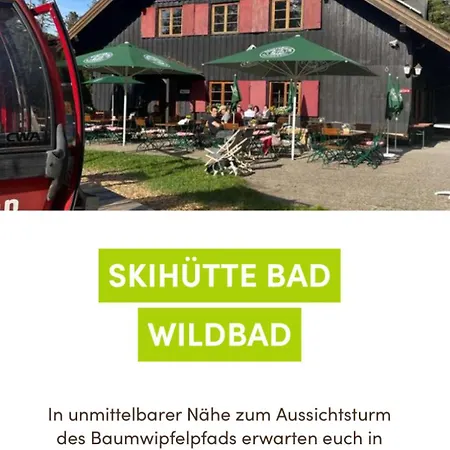 Viva La Wildbad Apartment